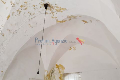 Landejendom i Carovigno, Brindisi, Carovigno - € 3.500.000 | Ref: 122559 - foto 19